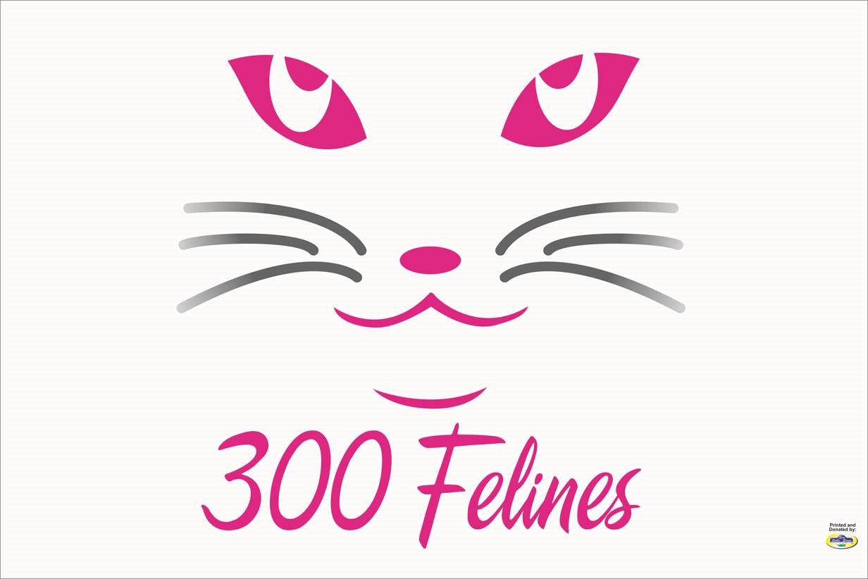 300 Felines