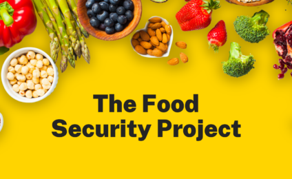 The Food Security Project