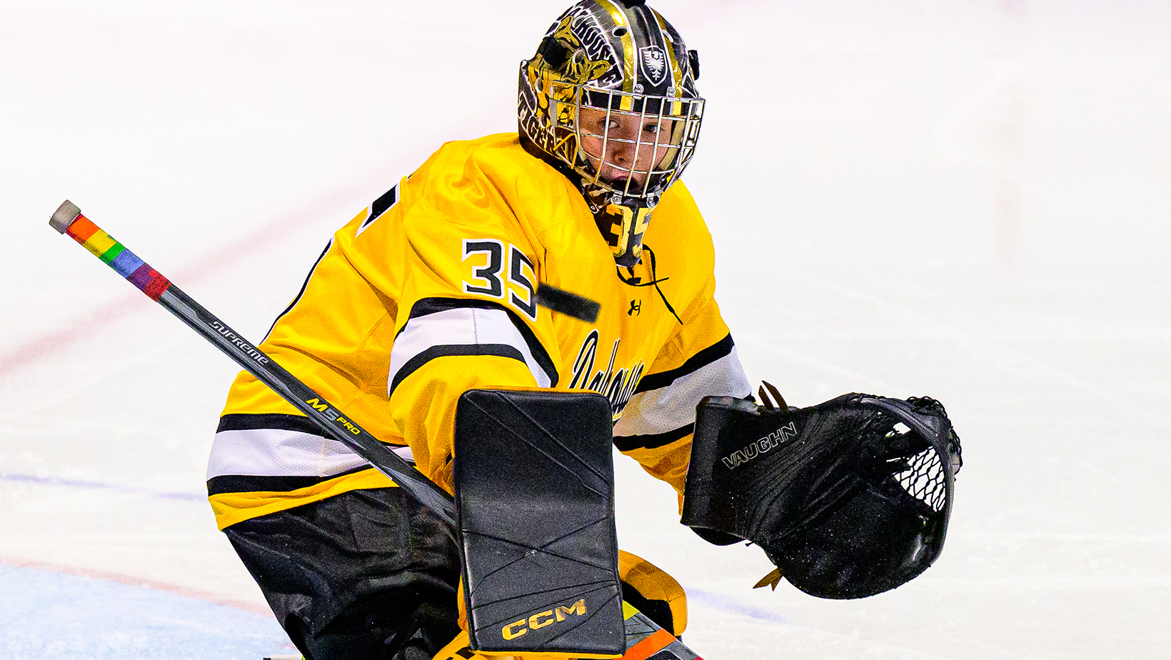 Women’s Hockey Fund