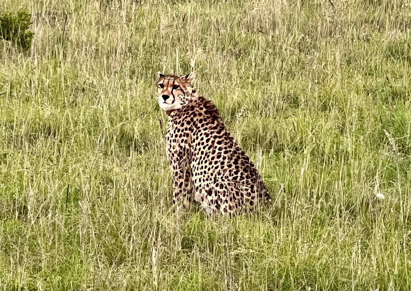 Working in Makerspace