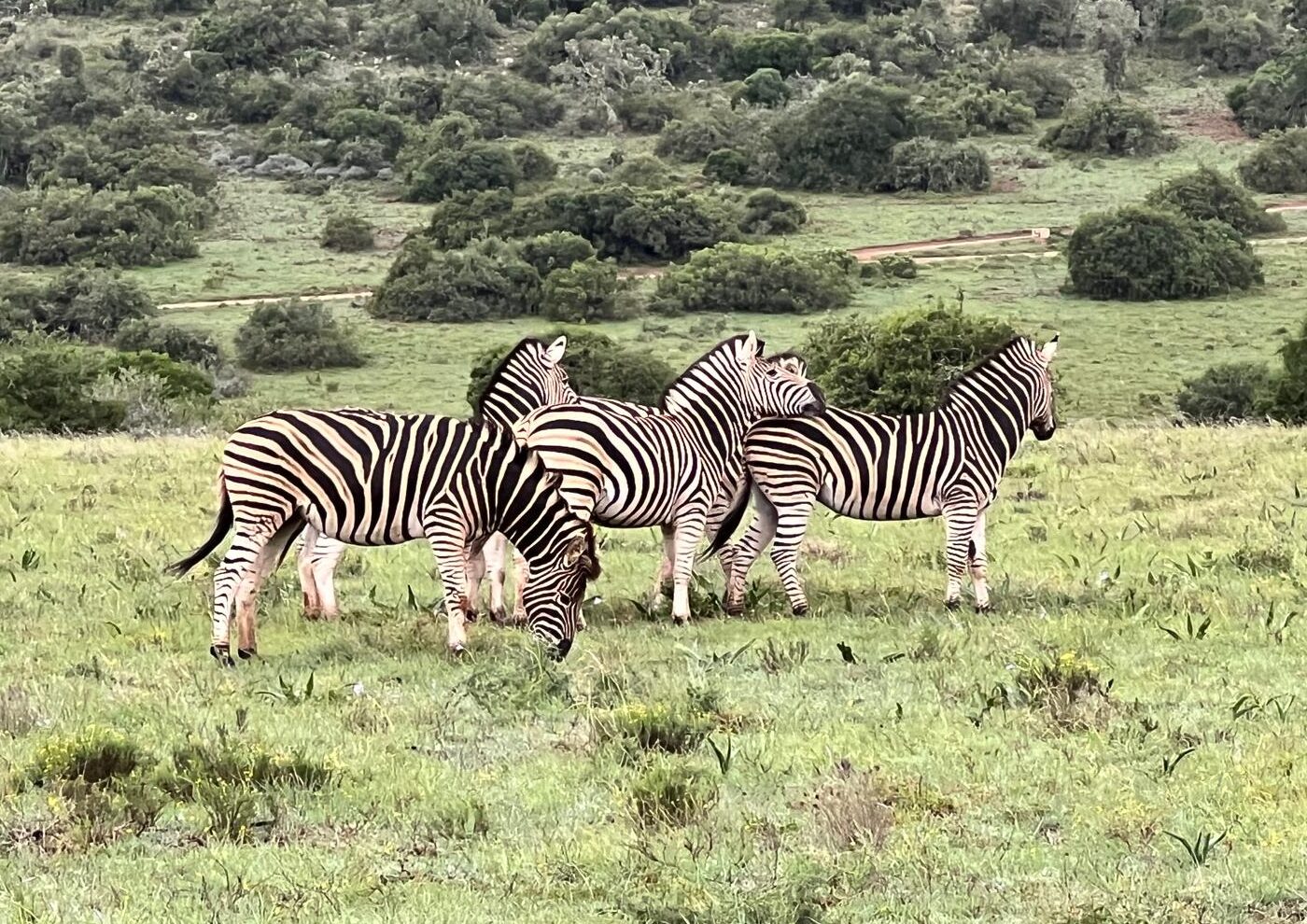 Working in Makerspace
